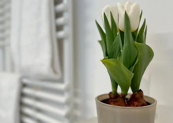 Lägenhet Ebbe Flut, Whg 17